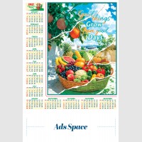 images/productimages/itemgallery/20260622144311/Board_layout-14 ads.jpg